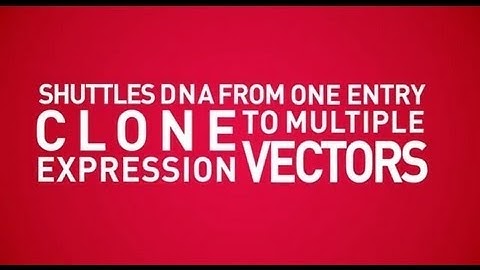 Gateway® Cloning Technology