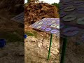 Make solar panel at home\homemade solar cell DVD #ytshorts