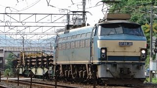 貨物列車 8090レ EF66-30 補機EF210-305(2016.6.26)