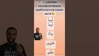Арабский для жизни. Диалекты арабского