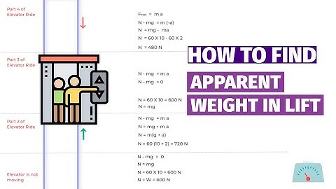 How to Calculate the Apparent Weight in an Elevator? Free Body Diagrams (Class 11 Physics)