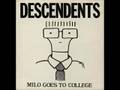 Capture de la vidéo Descendents - Hope