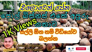 How to earn 5lak in month coconut business in sri lanka | business ideas |පොල් බිස්නස් එකක් කරමු