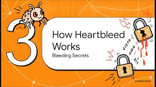 Famous The Heartbleed Crisis: The Code That Cracked the Internet Profile