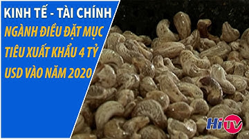 Ngành điều đặt mục tiêu xuất khẩu 4 tỷ USD vào năm 2020