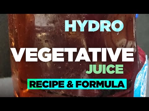 How to Mix Hydroponic Vegetative Nutrient Juice - DWC Feed Schedule, Chart & Recipe