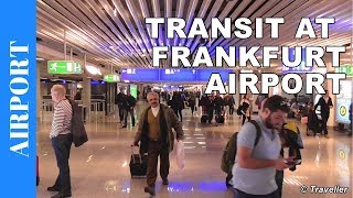 Transit walk at Frankfurt Airport, FRA Terminal 1 - Connection flight transfer, arriving & departing