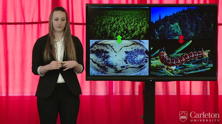 Carleton 3MT 2014 - Samantha Frasz