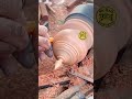 Artistic Woodturning Box with Luxury Finish