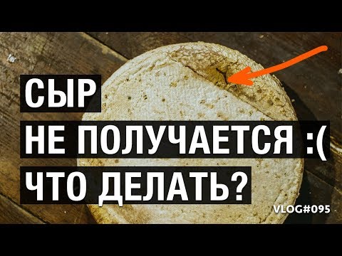 Что делать если НЕ ПОЛУЧАЕТСЯ СЫР?