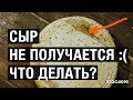 Что делать если НЕ ПОЛУЧАЕТСЯ СЫР?