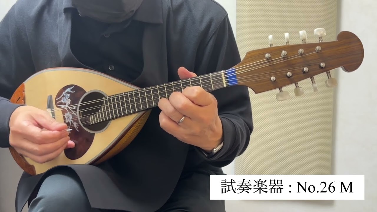 Calace No.26M 【マンドリン】 カラーチェ 【 丸井錦糸町店 】 | 島村