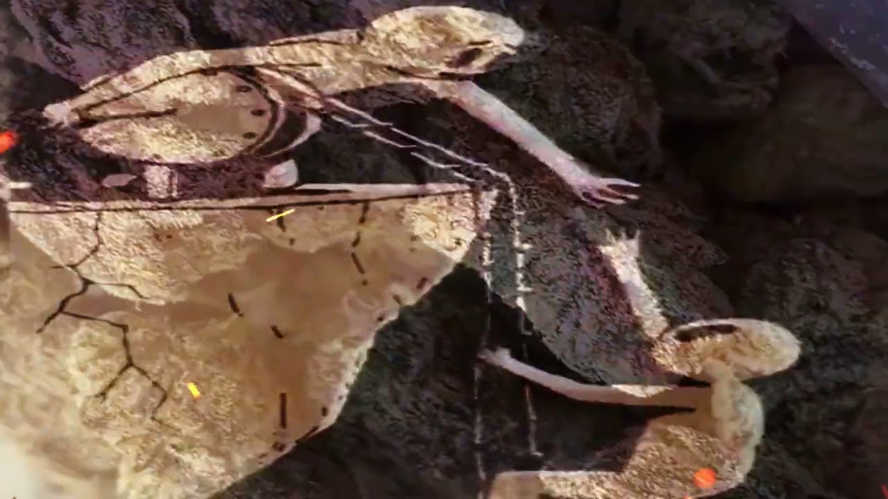 Mercyyy - Recession Pop (Prod. Mercyyy + Corporal)