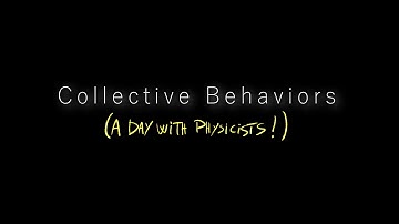 Collective Behaviors - A Day in the Lab of a Quantum Physicist