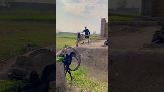 Eurolite Chaff Cutting Machine Operating With Donkey