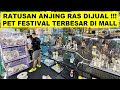 Mall ini jual ratusan anjing ras  hewan peliharaan lainnya 