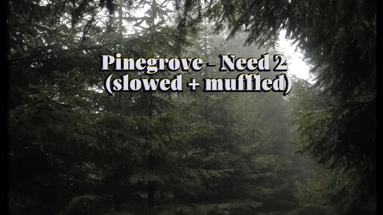 Pinegrove - Need 2 (slowed + muffled)