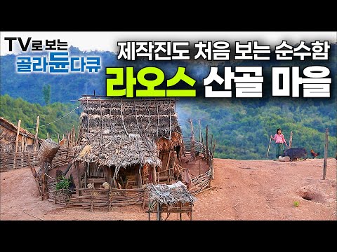 바다 없는 가난한 나라. 라오스 산꼭대기 고산족은 뭐 먹고 살아갈까｜라오스의 모든 것｜세계테마기행｜#골라듄다큐