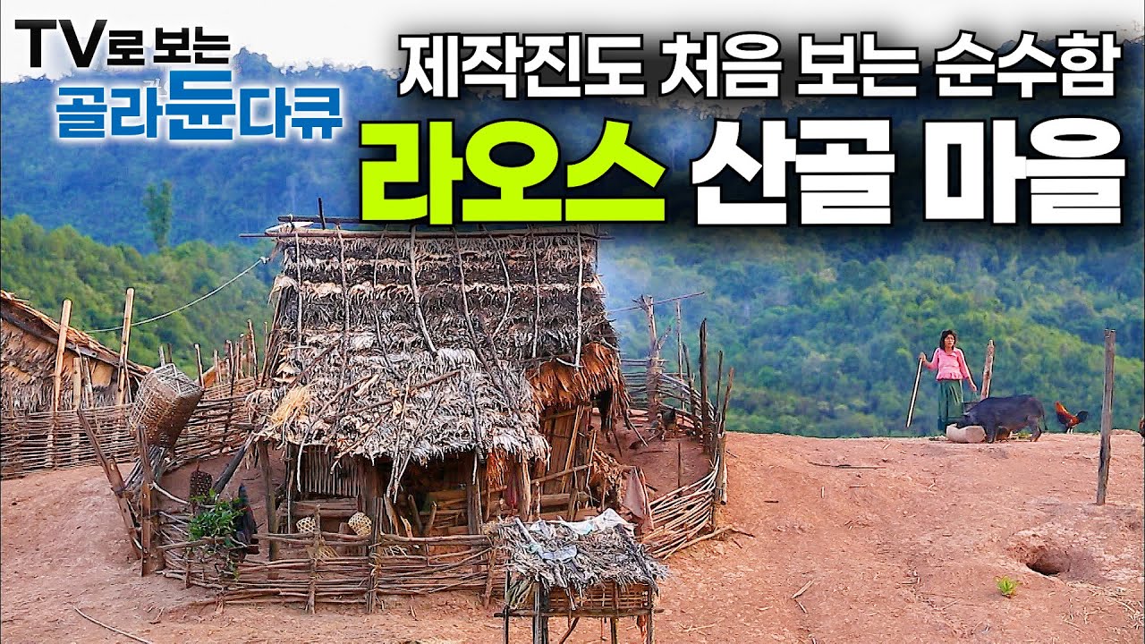 바다 없는 가난한 나라. 라오스 산꼭대기 고산족은 뭐 먹고 살아갈까｜라오스의 모든 것｜세계테마기행｜#골라듄다큐