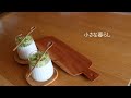 【vlog】小さな暮らし//私の暮らし「春」
