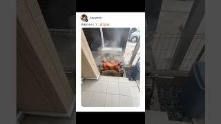 隣の家のアレが暑いです...