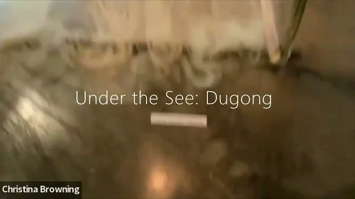 Under the See Dugong