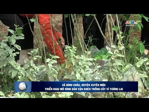 Video Chương trình thời sự Hòa nhịp phát triển 02/10/2022 |... - youtube