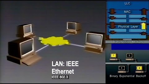 LAN: IEEE - CSMA/CD and Ethernet