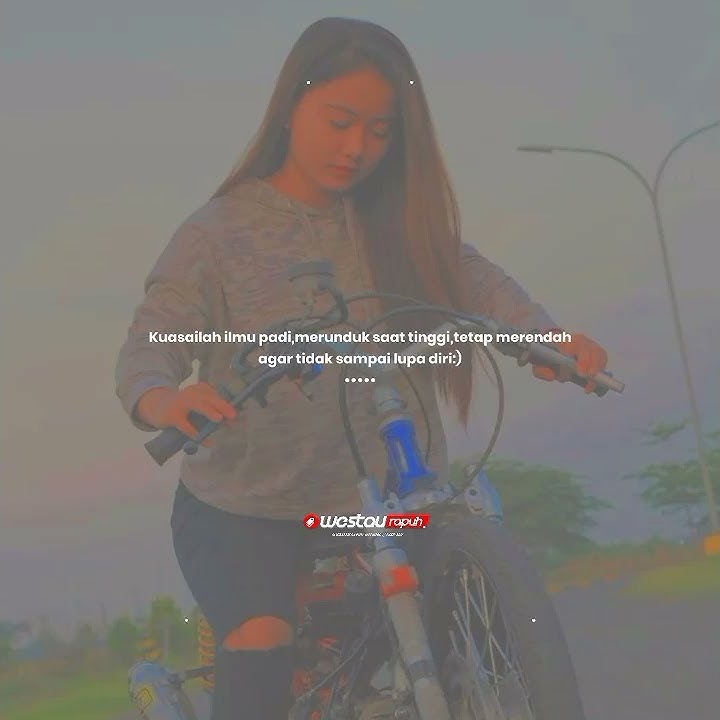 Tetaplah merunduk seperti padi, agar kalian tidak lupa diri - story wa