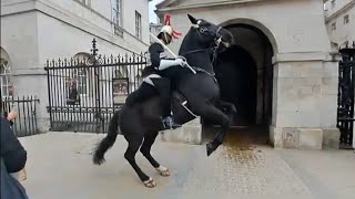 Horse goes crazy tourist gets shouted at #horseguardsparade