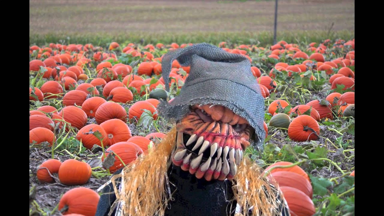 PUMPKIN FACE MASK GOOGLY SPRING EYES Wiggly Moving Plastic Scary Orange  Zombie