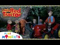 Stay Calm When You Lost 🦉 | Little Red Tractor | Full Episodes | Mini Moments