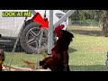 Best of Clumsy Animals | Hannah vs Gunner
