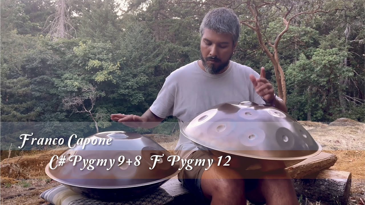 MrPans handpan - C# Pygmy 9+8 & F Pygmy 12 - Franco Capone
