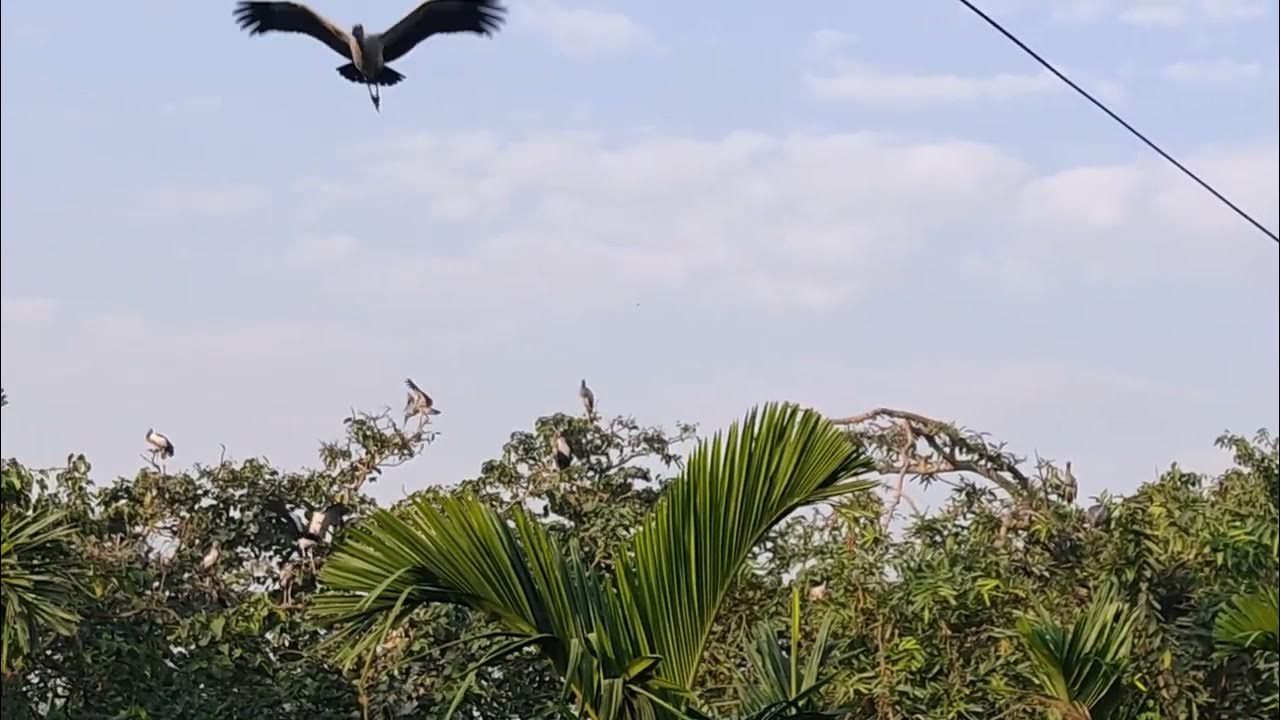 tourist lodge raiganj