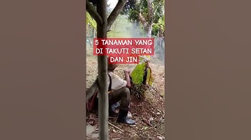 5 TANAMAN YANG DI TAKUTI SETAN DAN JIN#pertanian #dakwahislam