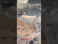 the process of breaking down iron to make tembilang #wood #woodscraft #welding #reel#usa