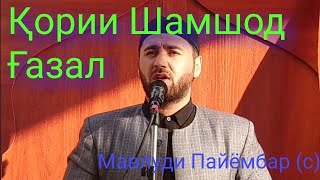 Кори Шамшод.Газал.Мавлуди Паёмбар (с)