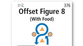 376   Offset Figure 8 With Food (with scoring)