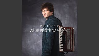 Video thumbnail of "Petr Lüftner - Ty jsi to Ústí"