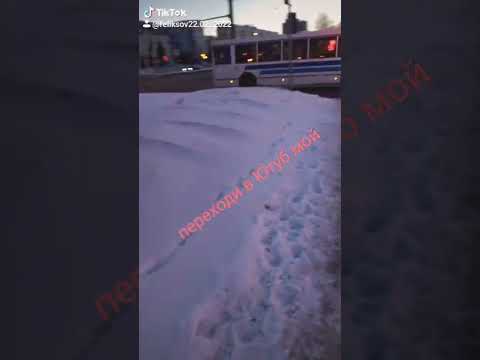 Тобольск автобус