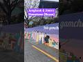 Bts jungkook and jimins hometown busan