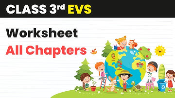 Complete Worksheet of EVS for Class 3 | All Chapters Class 3 EVS Worksheet | Class 3 EVS | 2024-25
