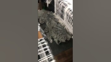 In vải chuyển nhiệt 0929344179