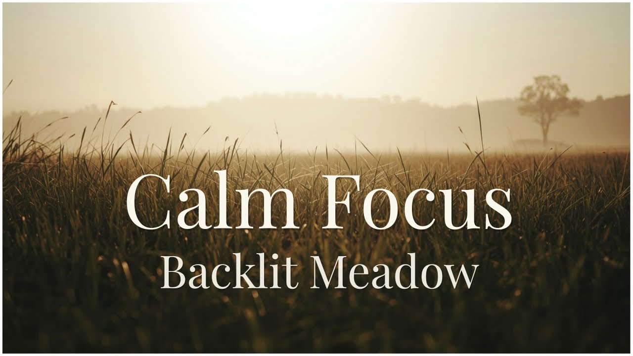 Lofi BGM for Calm Focus｜作業・穏やかな集中｜逆光に包まれ、静かに意識が整う草原｜Sunlit Meadow Lo-Fi