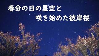 春分の日の星空と咲き始めた彼岸桜（SONYα7SⅢリアルタイム動画）