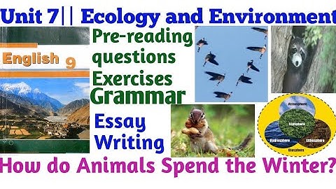 Unit 7|| Ecology and Environment|| How do Animals Spend the Winter?