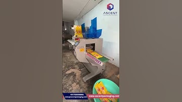 Horizontal Flow Wrap Machine