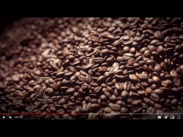 Saula Premium Granos de café Bourbon - Mezcla de  