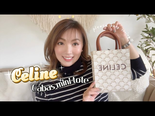 Celine Cabas Tote Review - Sizing, Wear & Tear - whatveewore